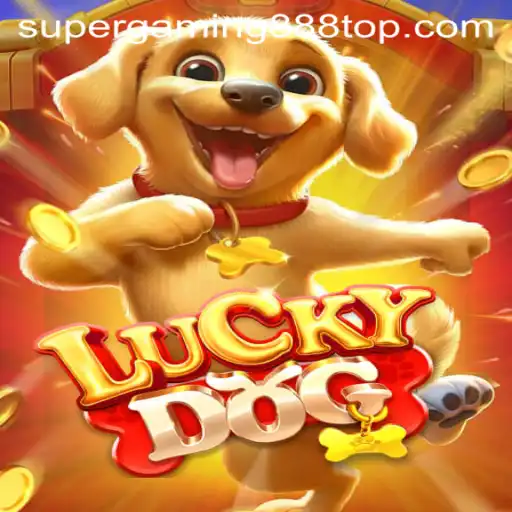 Discover the Thrill of LuckyDog: Gaming Redefined with SuperGaming888